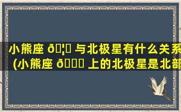 小熊座 🦊 与北极星有什么关系(小熊座 💐 上的北极星是北部天空中zui
亮的星星)
